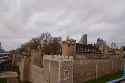 DSC_5667 (Large).JPG